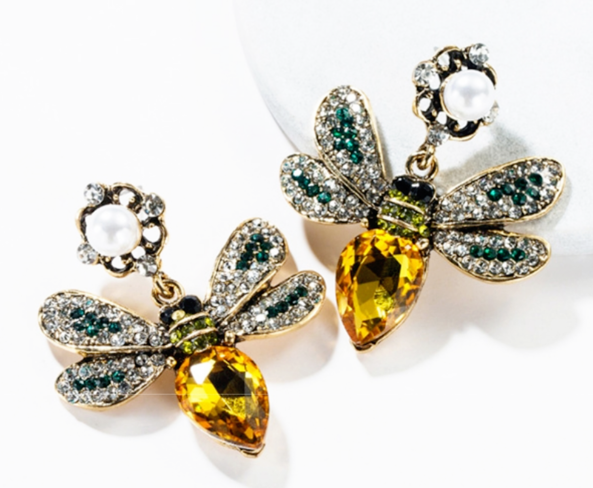 Arete insecto