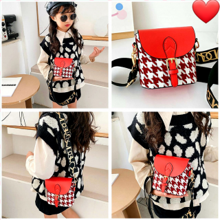 Bolso Moderno