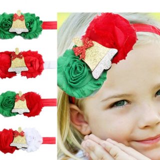 ACCESORIOS DEL CABELLO