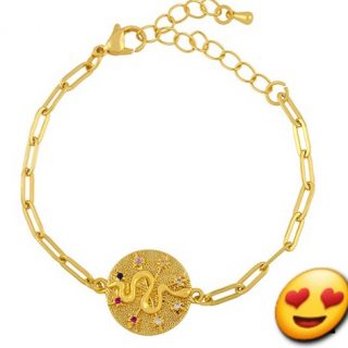 Pulsera de cadena y placa con serpiente
