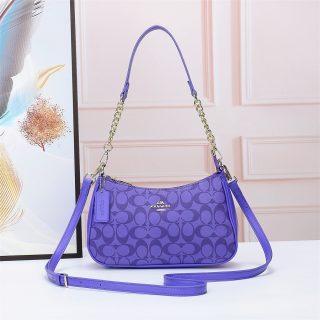 Bolso C-oach